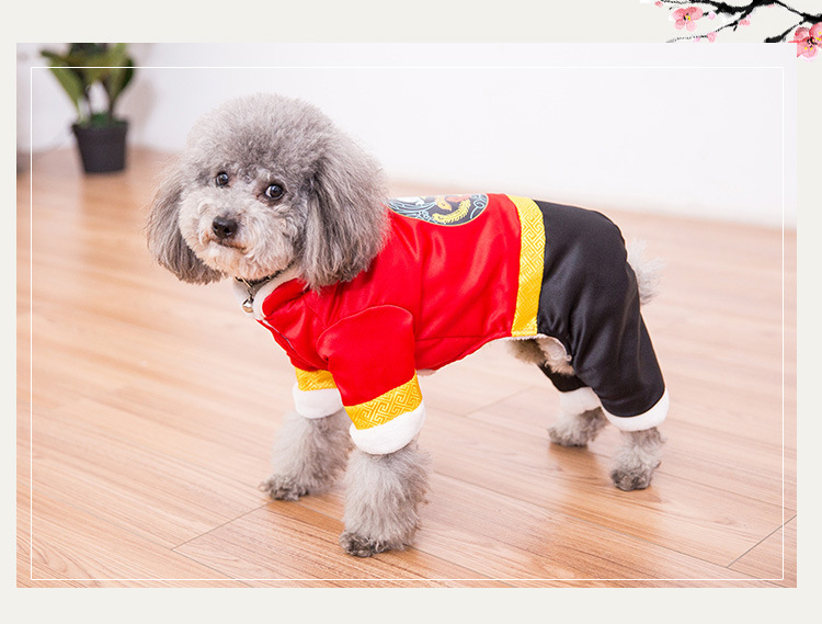 dog cute clothes.jpg